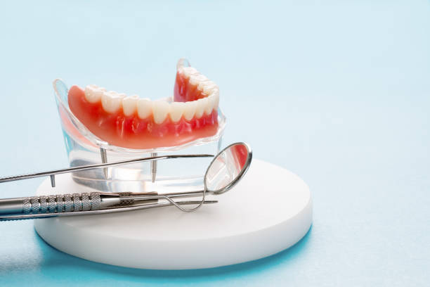 Best Preventive Dentistry  in Ocean Pines, MD